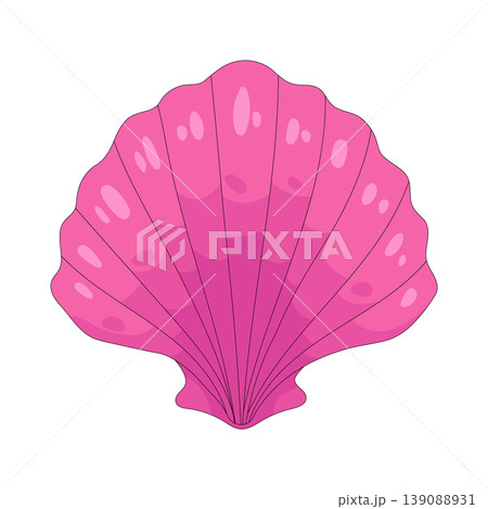 Illustration of seashell Illustration of seashell 139088931
