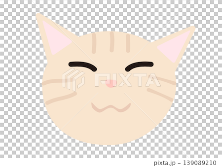 リラックスしている茶トラ猫の表情 リラックスしている茶トラ猫の表情 139089210
