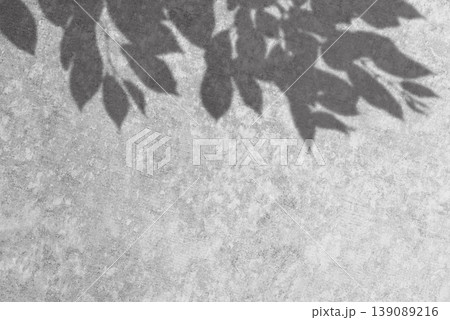 コンクリート壁に植物の影 コンクリート壁に植物の影 139089216