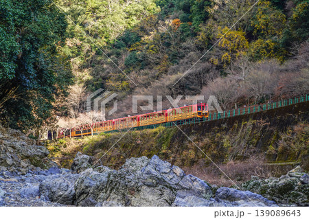 京都 保津川沿いを走る、嵯峨野トロッコ列車 京都 保津川沿いを走る、嵯峨野トロッコ列車 139089643