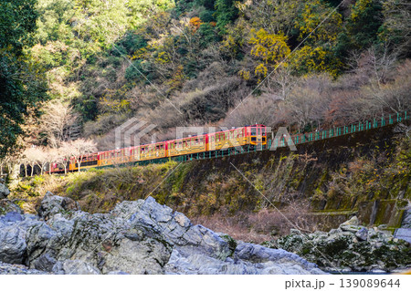京都　保津川沿いを走る、嵯峨野トロッコ列車 139089644