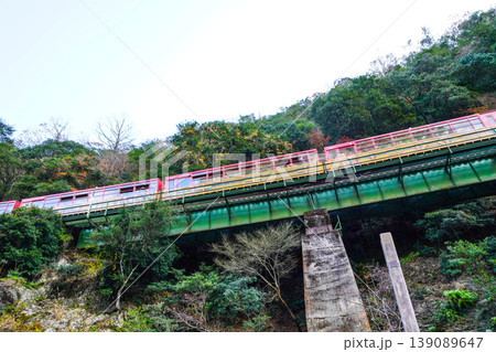 京都　保津川沿いを走る、嵯峨野トロッコ列車 139089647