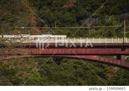 京都　保津川下り　船上から見る電車 139089665