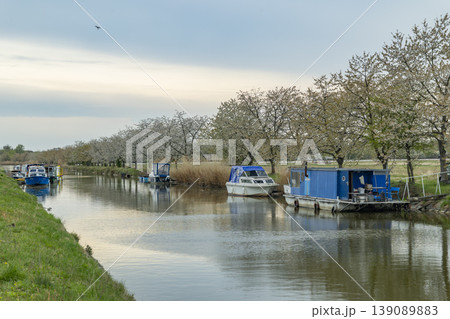 Boats along Bata Canal with blooming cherry trees Boats along Bata Canal with blooming cherry trees 139089883