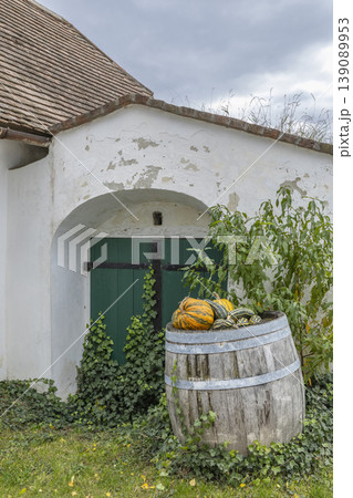 Zellerndorf wine cellar entrance with barrel holding autumn gourds Zellerndorf wine cellar entrance with barrel holding autumn gourds 139089953