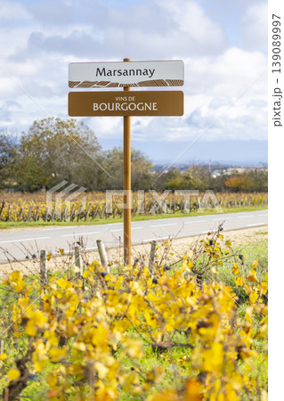 Marsannay Vins de Bourgogne sign with autumn vineyards 139089997