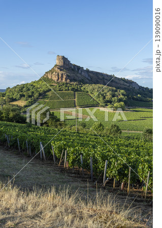Rock of Solutre overlooking Maconnais vineyards, France Rock of Solutre overlooking Maconnais vineyards, France 139090016