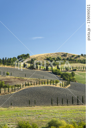 Tuscan landscape with rolling hills and cypress trees Tuscan landscape with rolling hills and cypress trees 139090021