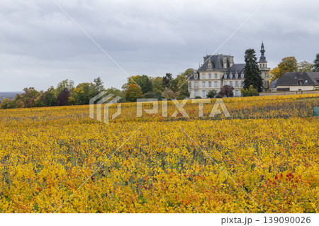 Golden vineyard in autumn with chateau in Brochon, Bourgogne 139090026