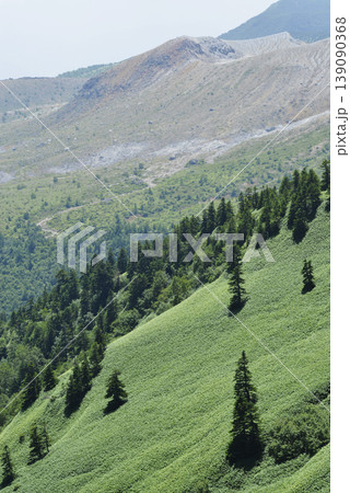 緑の斜面が広がる山の風景 緑の斜面が広がる山の風景 139090368