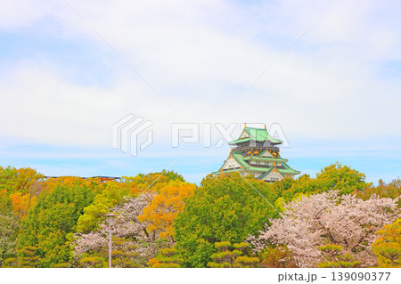 大阪府大阪市、桜と大阪城の風景 大阪府大阪市、桜と大阪城の風景 139090377