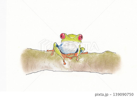 アカメアマガエルのイラスト アカメアマガエルのイラスト 139090750