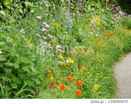 庭に咲く色とりどりの花 庭に咲く色とりどりの花 139090870