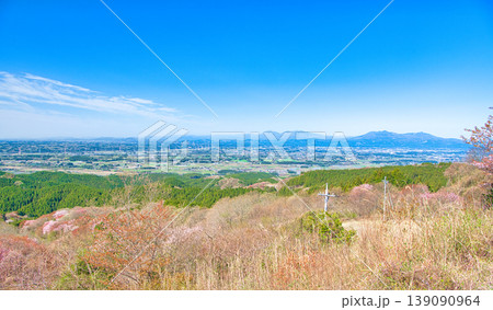 栃木県大田原市　御亭山から見る満開の山桜 139090964