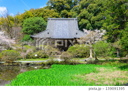 【奈良県】天理市 長岳寺 (2026/04/02撮影) 【奈良県】天理市 長岳寺 (2026/04/02撮影) 139091395