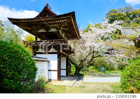 【奈良県】天理市 長岳寺 (2026/04/02撮影) 139091396