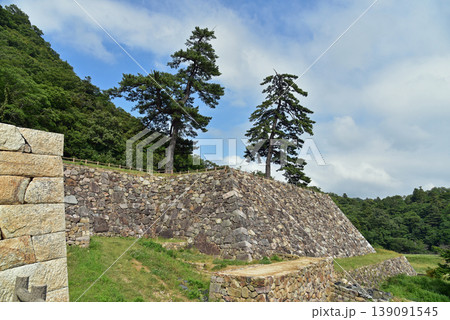 鳥取城の石垣 139091545