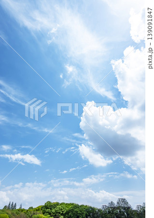 春の青空と雲と新緑 春の青空と雲と新緑 139091847
