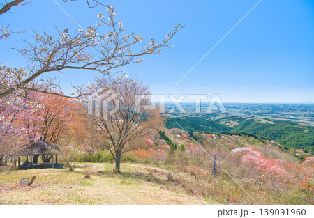 栃木県大田原市 御亭山に咲く満開の山桜 栃木県大田原市 御亭山に咲く満開の山桜 139091960