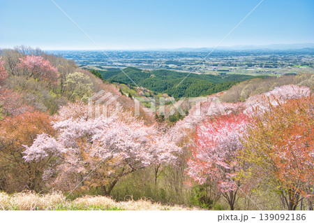 栃木県大田原市 御亭山から見る満開の山桜 栃木県大田原市 御亭山から見る満開の山桜 139092186