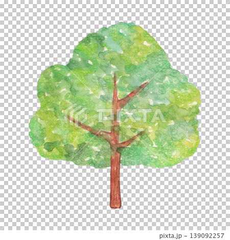 Watercolor tree illustration 139092257