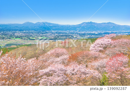 栃木県大田原市 御亭山から見る満開の山桜 栃木県大田原市 御亭山から見る満開の山桜 139092287