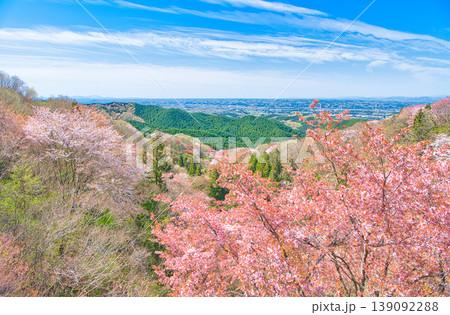 栃木県大田原市 御亭山から見る満開の山桜 栃木県大田原市 御亭山から見る満開の山桜 139092288