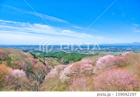 栃木県大田原市 御亭山から見る満開の山桜 栃木県大田原市 御亭山から見る満開の山桜 139092297