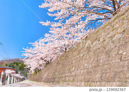 栃木県那須塩原市 春の季節を迎える板室温泉と満開の桜 栃木県那須塩原市 春の季節を迎える板室温泉と満開の桜 139092367