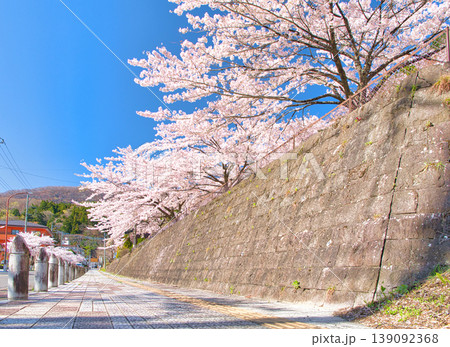 栃木県那須塩原市 春の季節を迎える板室温泉と満開の桜 栃木県那須塩原市 春の季節を迎える板室温泉と満開の桜 139092368