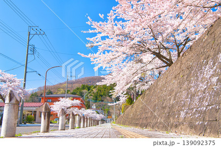 栃木県那須塩原市 春の季節を迎える板室温泉と満開の桜 栃木県那須塩原市 春の季節を迎える板室温泉と満開の桜 139092375