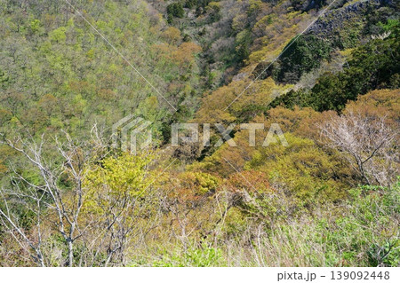 春の山 春の山 139092448