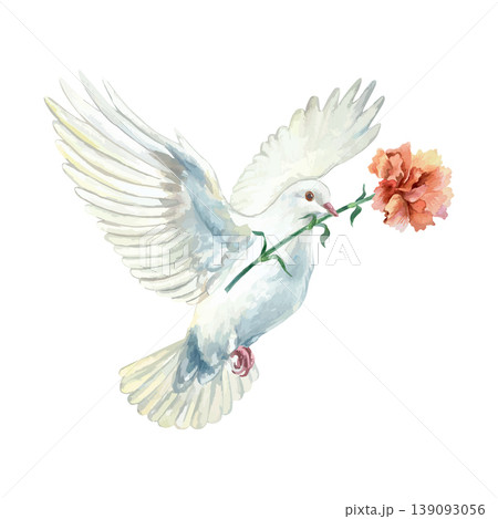 White dove with a red carnation in its beak. Hand drawn vector watercolor illustration of the bird and flower for card design for Mothers Day, Victory and Independence Day. 139093056