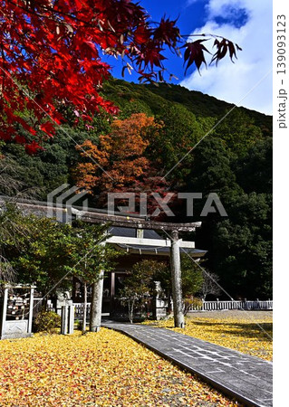 秋の高座神社 秋の高座神社 139093123