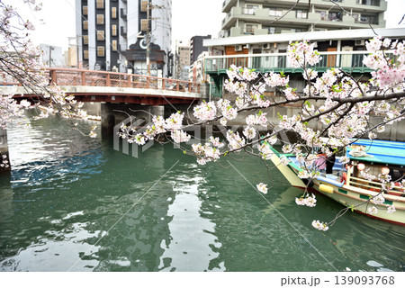 横浜大岡川で満開を迎えたさくらの花見の遊覧船 横浜大岡川で満開を迎えたさくらの花見の遊覧船 139093768