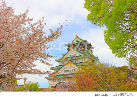 大阪府大阪市、桜と大阪城の風景 大阪府大阪市、桜と大阪城の風景 139094176