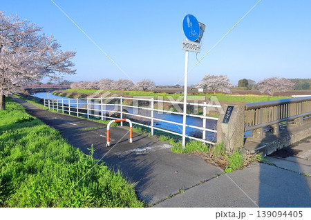五行川沿いの桜並木/栃木県真岡市 湯前橋 五行川沿いの桜並木/栃木県真岡市 湯前橋 139094405