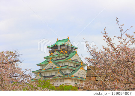 大阪府大阪市、桜と大阪城の風景 大阪府大阪市、桜と大阪城の風景 139094807
