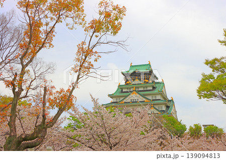 大阪府大阪市、桜と大阪城の風景 大阪府大阪市、桜と大阪城の風景 139094813