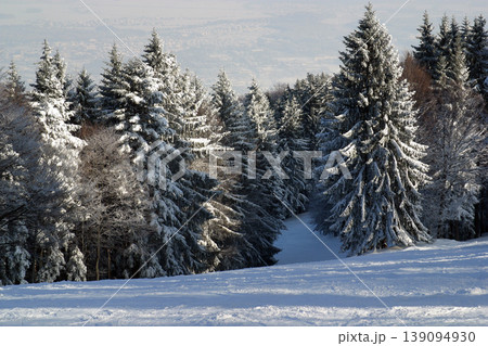 Winter landscape trees under snow on the mountain Pohorje, Slovenia 139094930