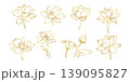 Lotus flower botanical set with blossom bud leaf floral line art illustration for spa zen decoration luxury design and wellness concept 139095827