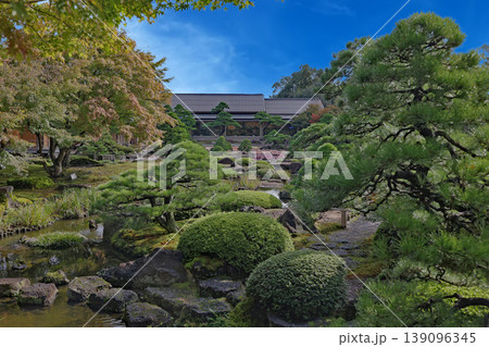 由志園 由志園 139096345