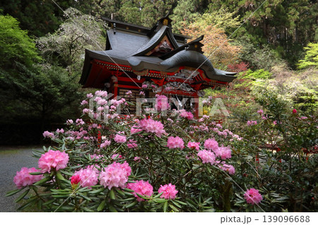 ロマンチック茨城（神仏習合の神、山を守る神、国造りの神、三体の神々に守られ花咲く花園神社。）北茨城市 139096688