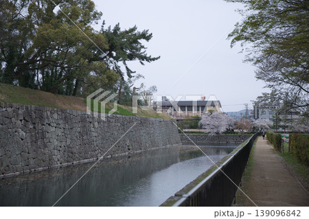 京の風景　元離宮二条城散策路から望むお堀と桜1 139096842