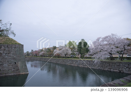 京の風景　元離宮二条城散策路から望むお堀と桜6 139096906