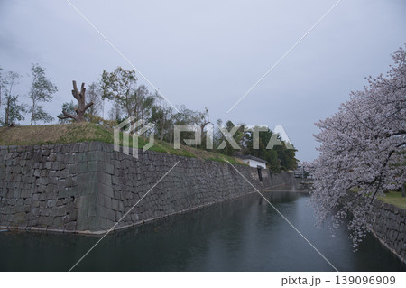 京の風景 元離宮二条城散策路から望むお堀と桜9 京の風景 元離宮二条城散策路から望むお堀と桜9 139096909