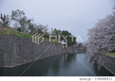 京の風景 元離宮二条城散策路から望むお堀と桜12 京の風景 元離宮二条城散策路から望むお堀と桜12 139096911