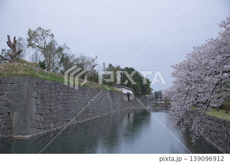 京の風景 元離宮二条城散策路から望むお堀と桜13 京の風景 元離宮二条城散策路から望むお堀と桜13 139096912