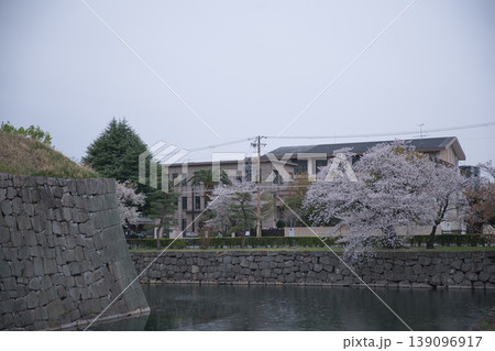 京の風景 元離宮二条城散策路から望むお堀と桜3 京の風景 元離宮二条城散策路から望むお堀と桜3 139096917