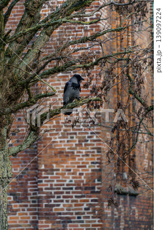 the danish city Aarhus the danish city Aarhus 139097224